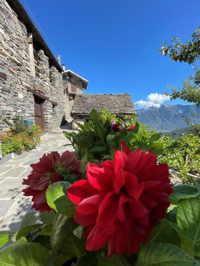 Casa Vacanze La Carbunera Domodossola Exterior foto